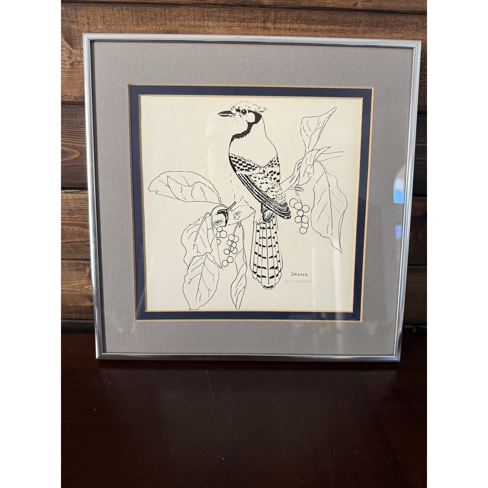 Diane Ayers 1/250 Print Pen and Ink Framed Bird Drawing Vintage Signed By Artist